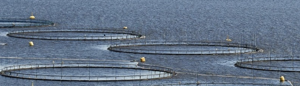 aquaculture "ponds" in a natural body of water